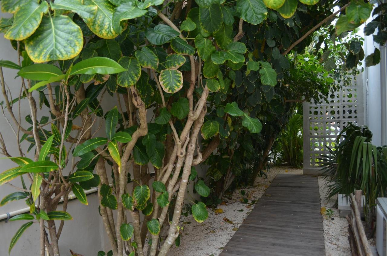 Casa Cielo Cancún Exterior foto